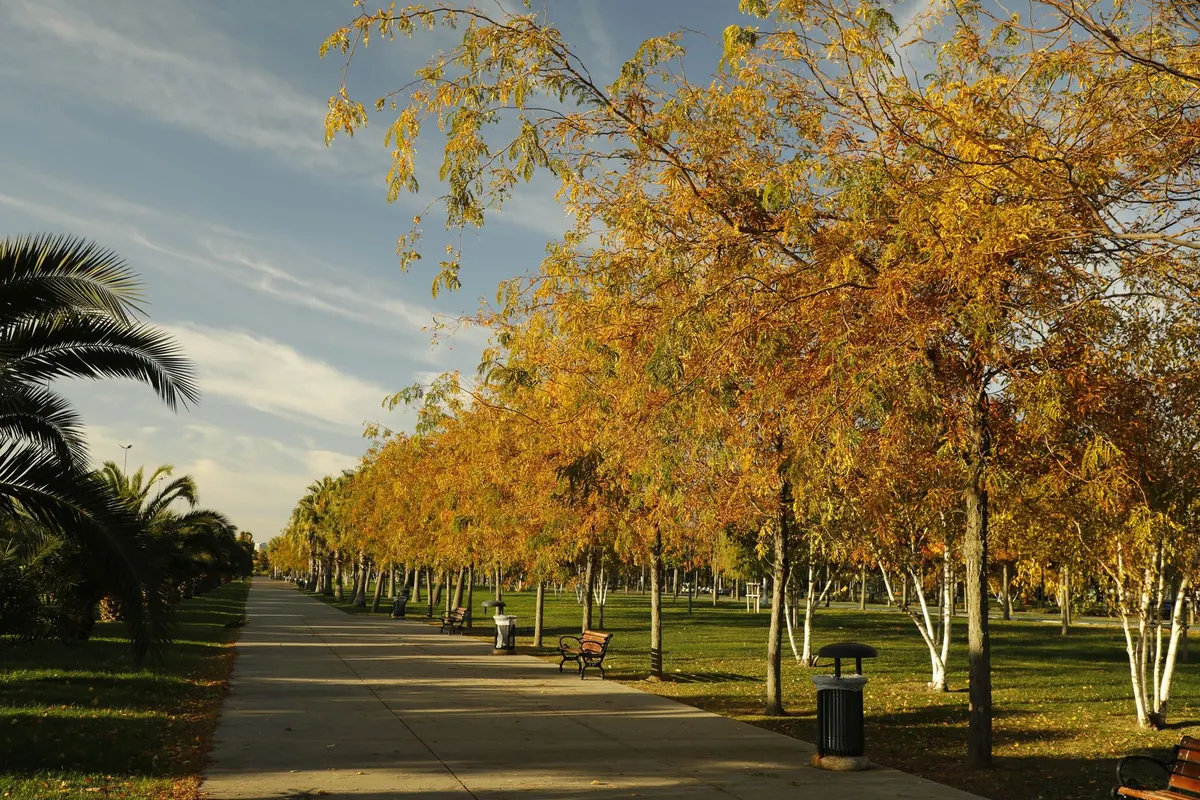 How to Use Autumn Imagery in Flash Fiction Without Resorting to Clichés