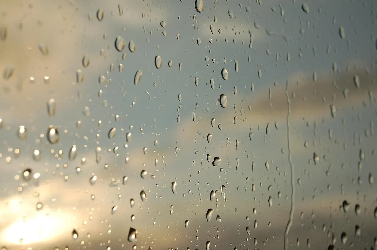 The Quiet Power of Everyday Life in British Flash Fiction